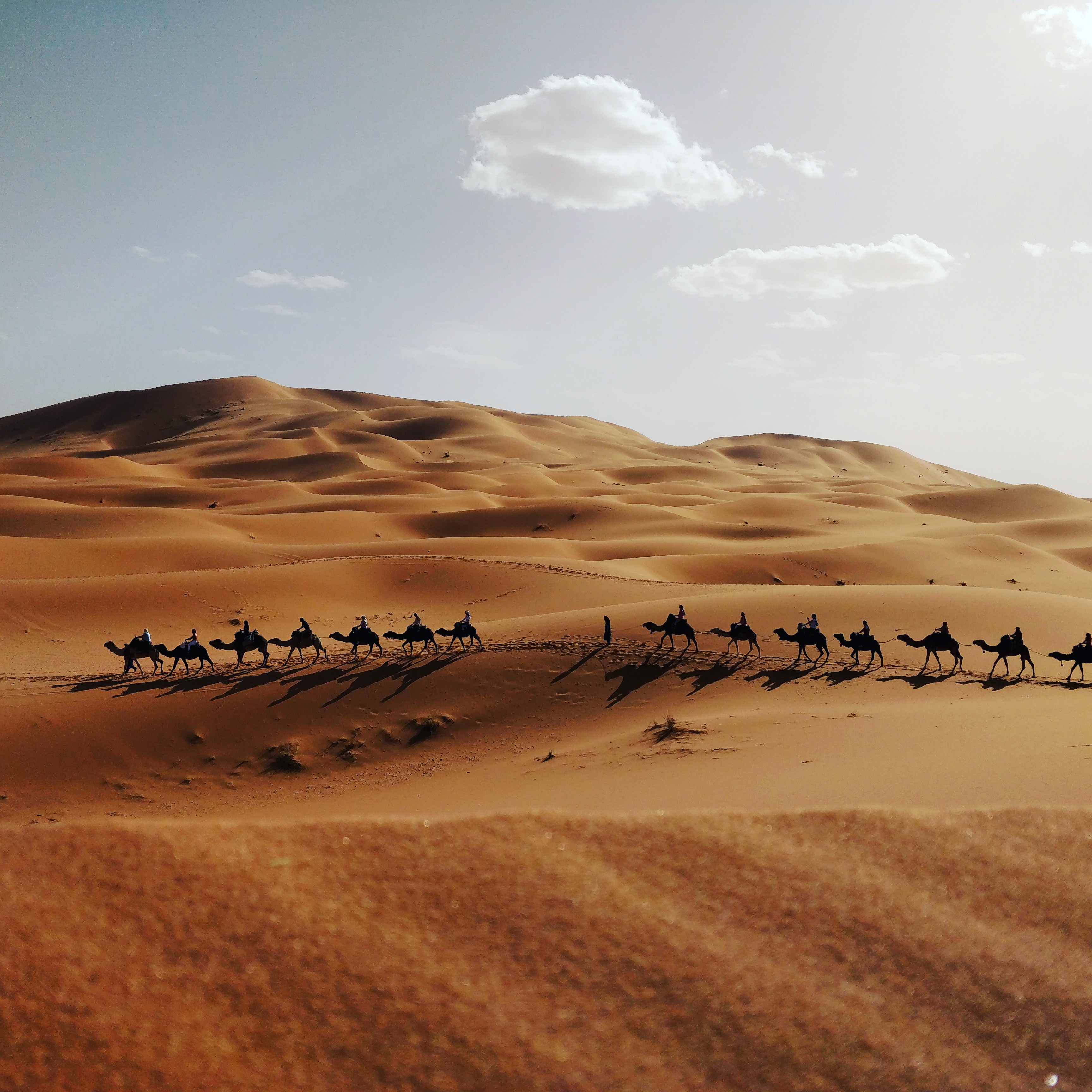 Sahara Explore