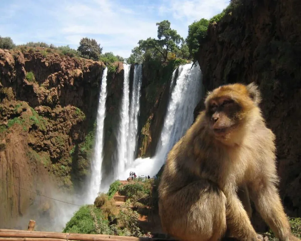Ouzoud Waterfalls