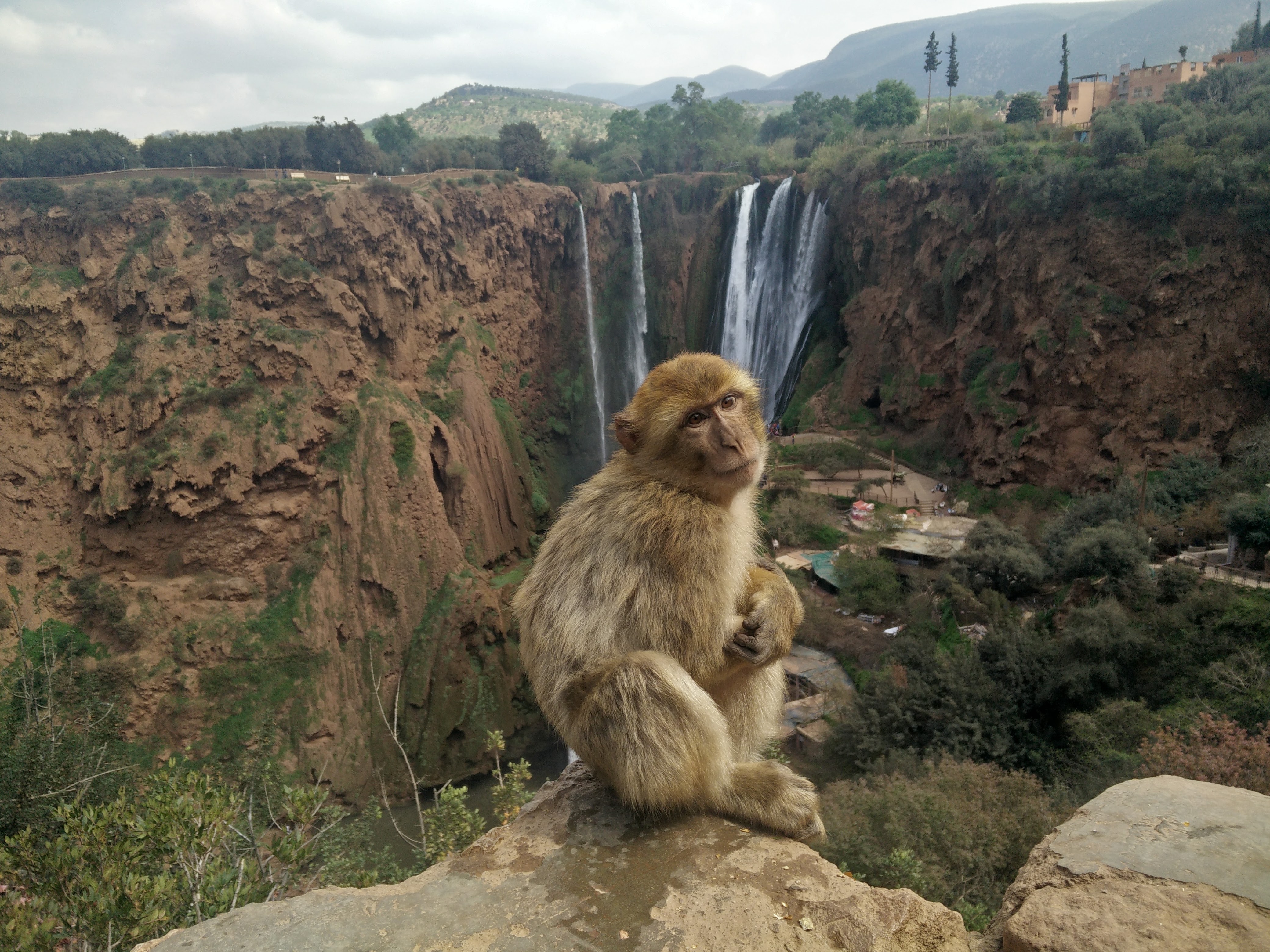 Ouzoud Waterfalls Day Excursion Morocco