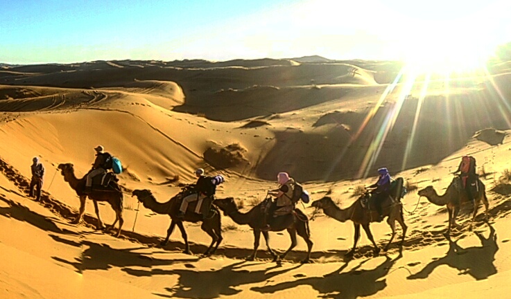 Express Desert Tour