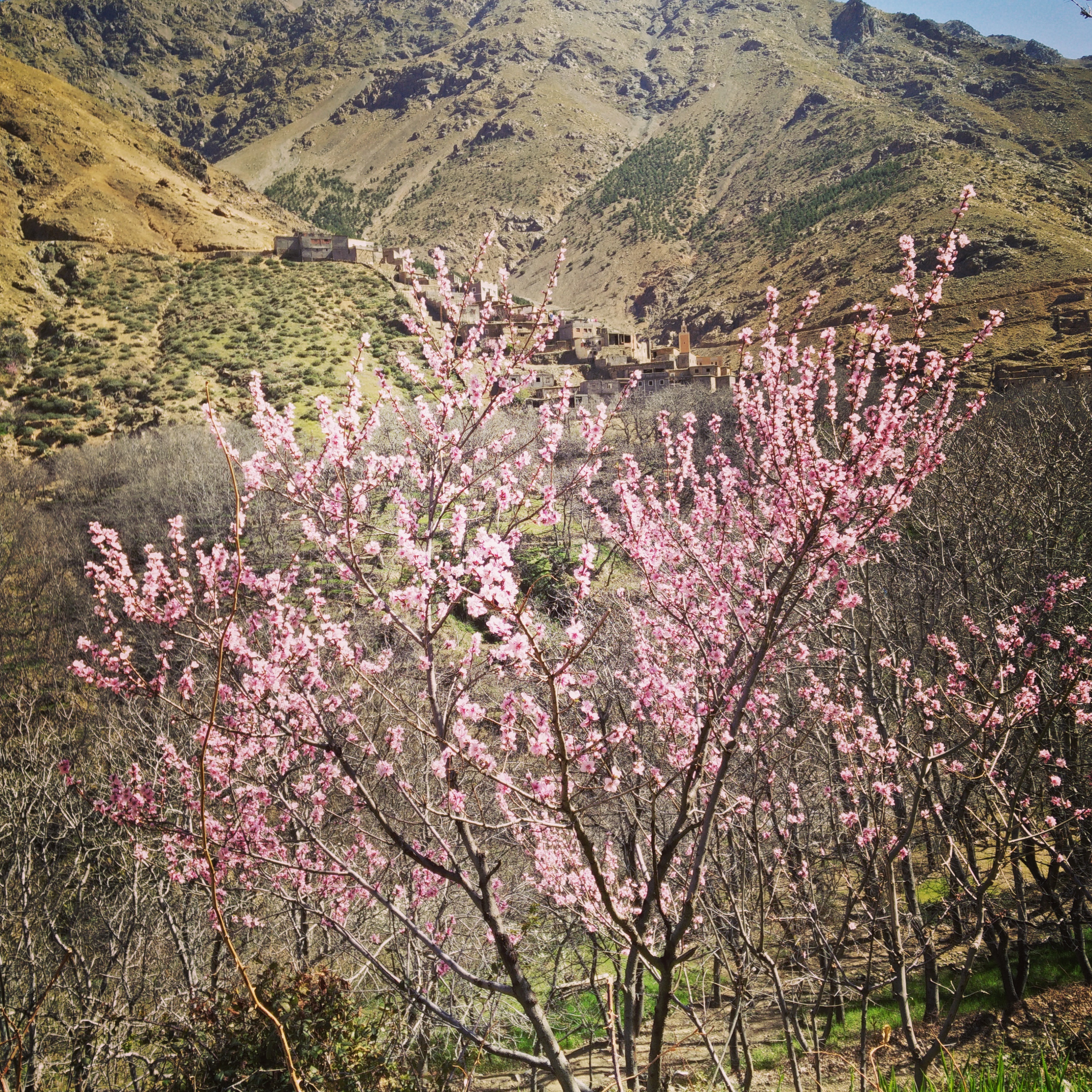 Berber Villages Trek