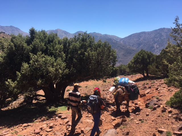 Toubkal via Agalzim Pass